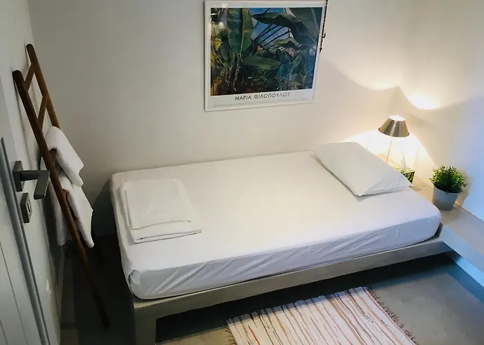 Carmela * קיוניה